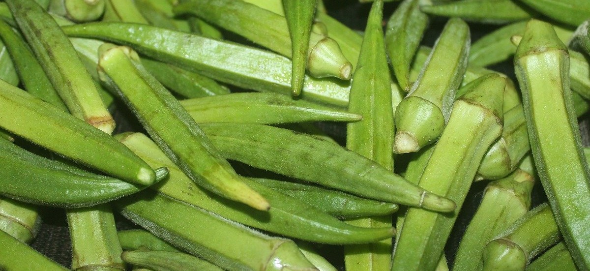 Southern Okra Vegetable Skillet